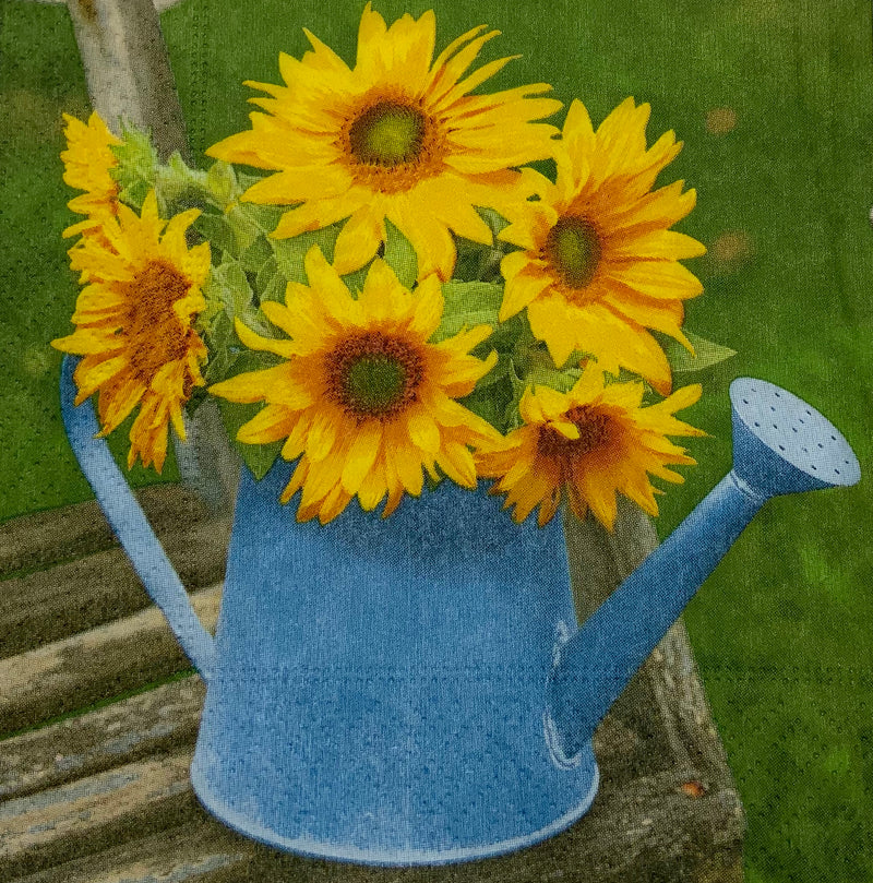 Sunflowers in a jug
