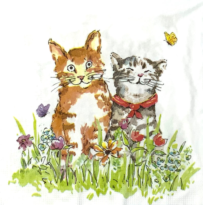 Cats with butterflies