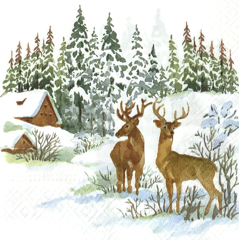 Reh und Hirsch im Winter