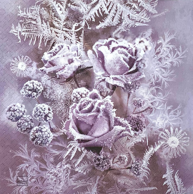 Frosted Roses - Frosted roses