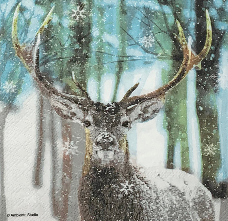Winter Deer Hirsch