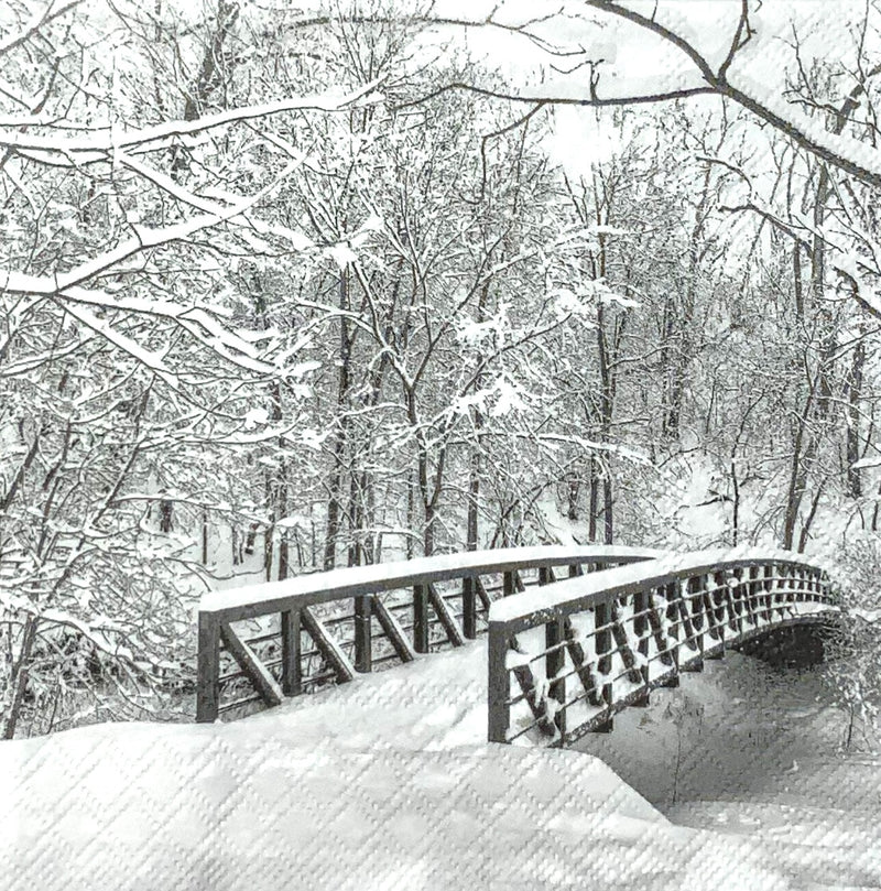 Snow Bridge - Schnee Brücke