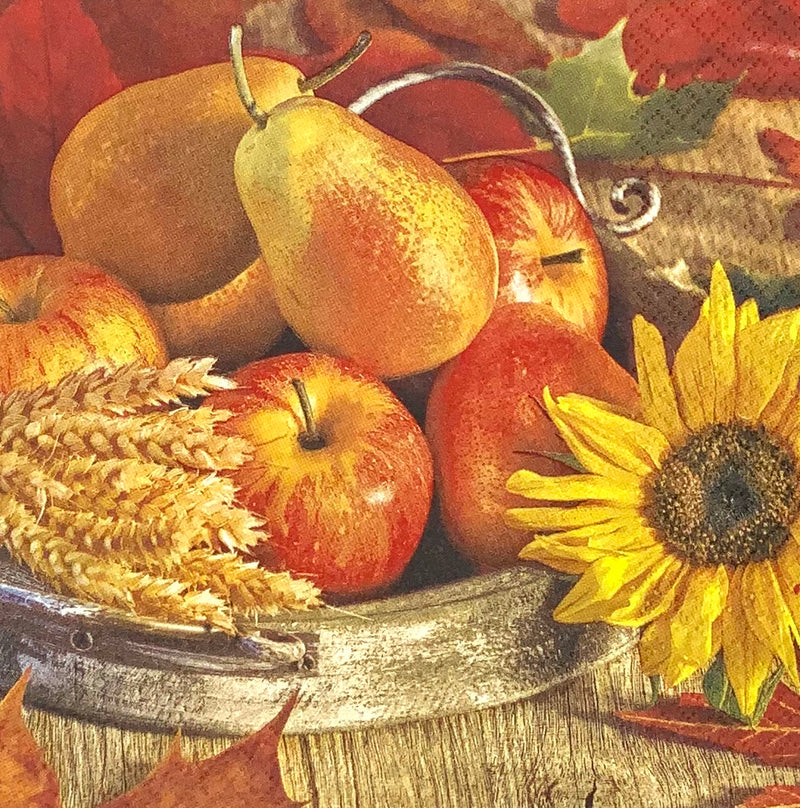 Fruit plate - Thanksgiving