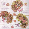 Rhododendron - my garden - flowers