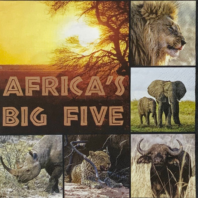 Los cinco grandes de África