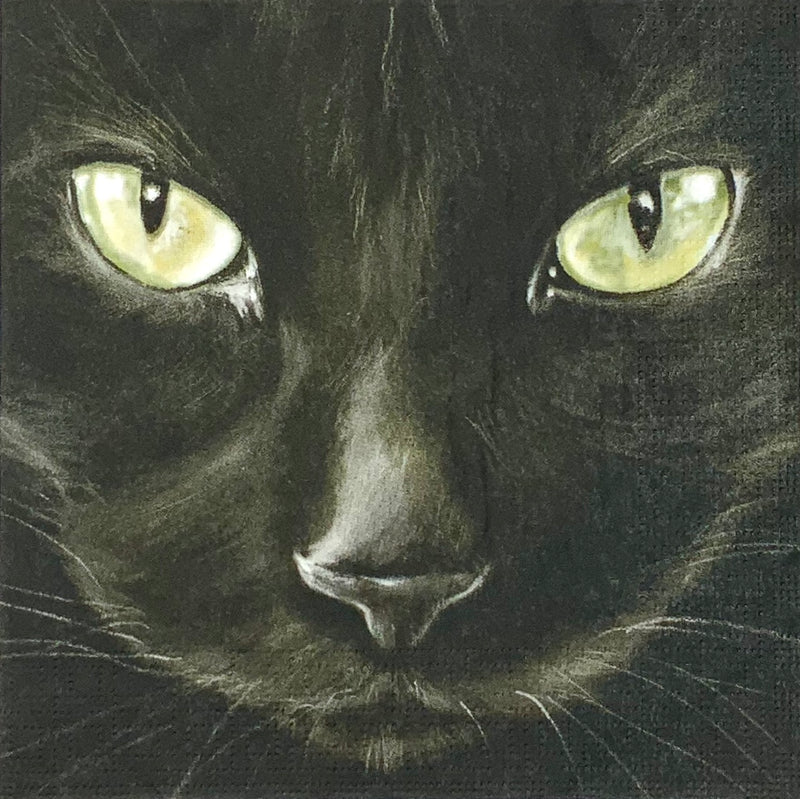Black Cat - Schwarze Katze