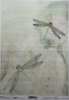 Dragonflies with musical notes background