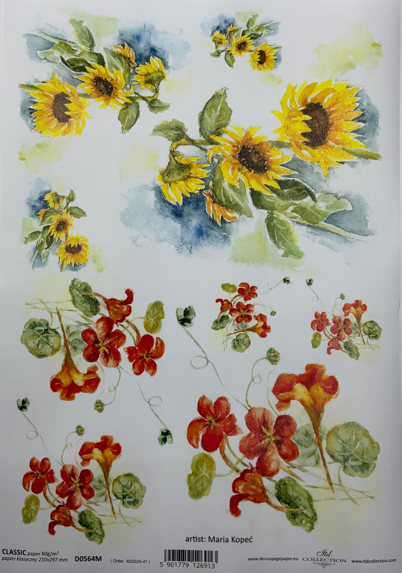 Painted sunflowers