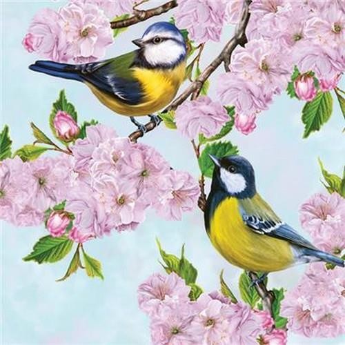 Birds on cherry branch