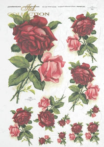 Red roses