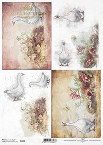 Geese