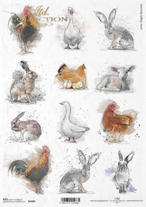Rabbit, goose and rooster