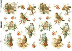 Pájaro en una rama