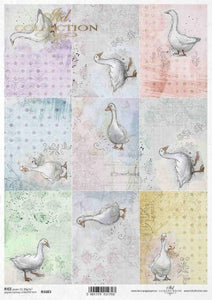 goose