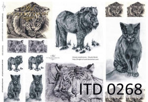 tigre
